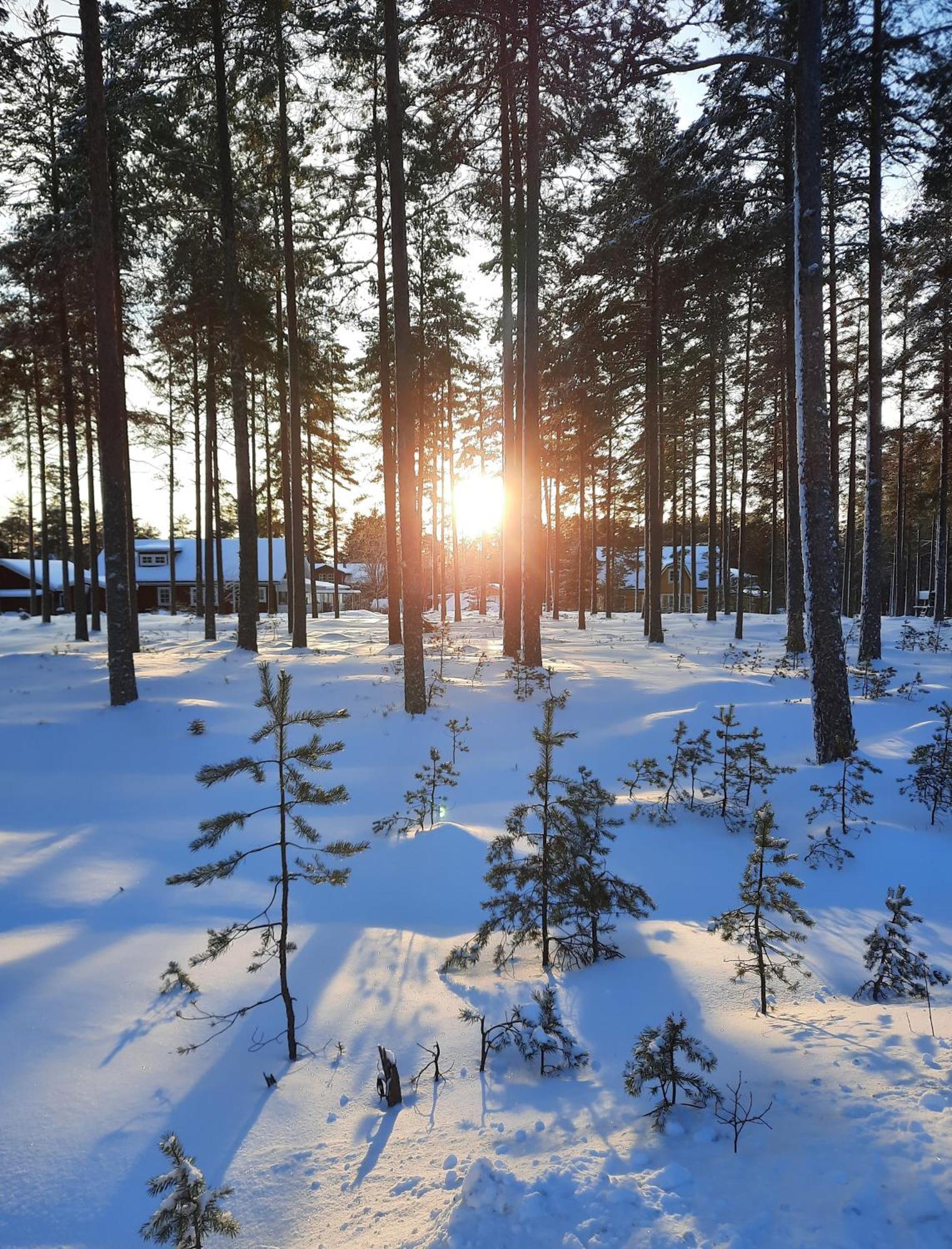 Charmigt Hus Och Mysigt Boende! Hudiksvall Kültér fotó